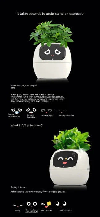 Smart Planter.