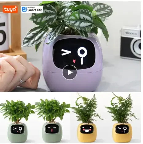 Smart Planter.